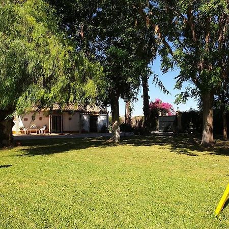 Finca El Romero, Finca A 15 Minutos De Sevilla Alcala del Rio 외부 사진