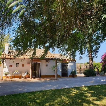 Finca El Romero, Finca A 15 Minutos De Sevilla Alcala del Rio 외부 사진