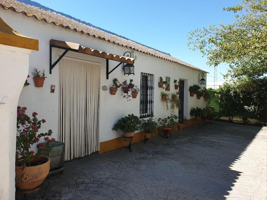 Finca El Romero, Finca A 15 Minutos De Sevilla Alcala del Rio 외부 사진