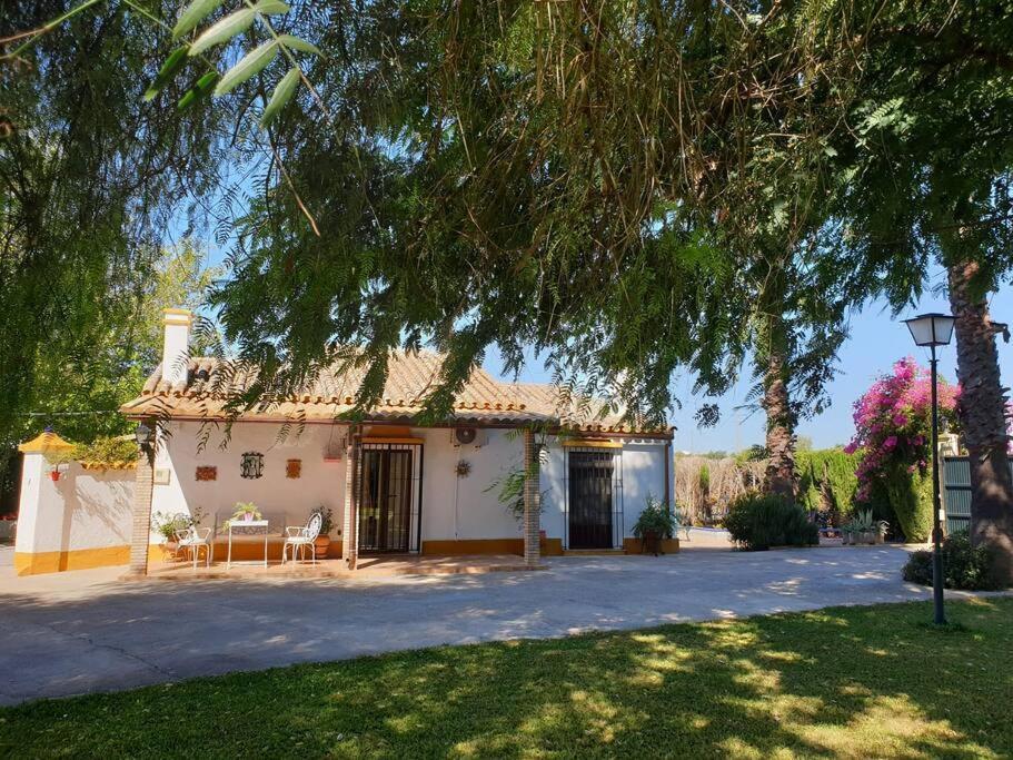 Finca El Romero, Finca A 15 Minutos De Sevilla Alcala del Rio 외부 사진